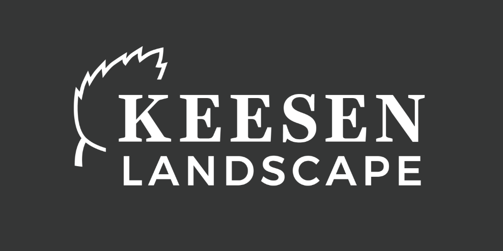 Keesen landscape Logo