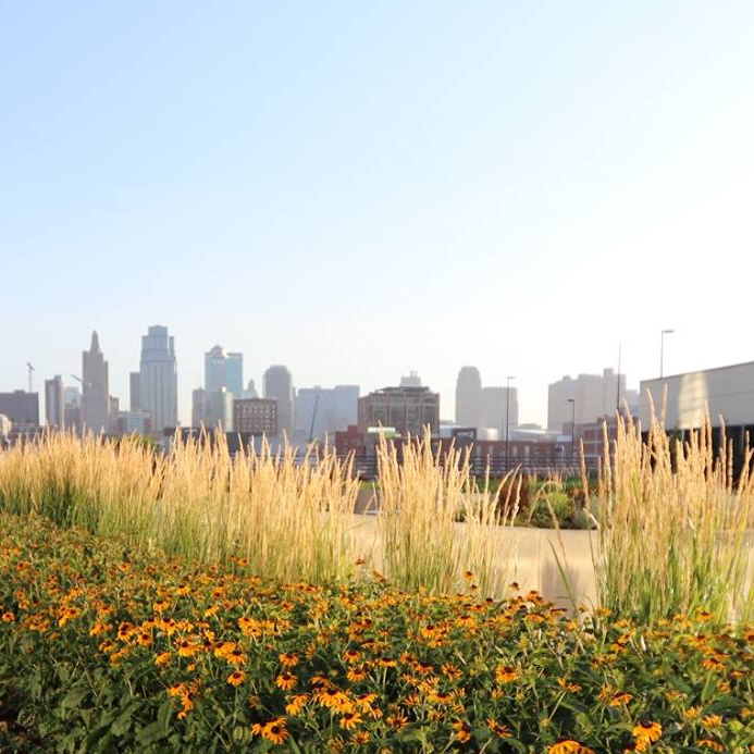 KC in the background